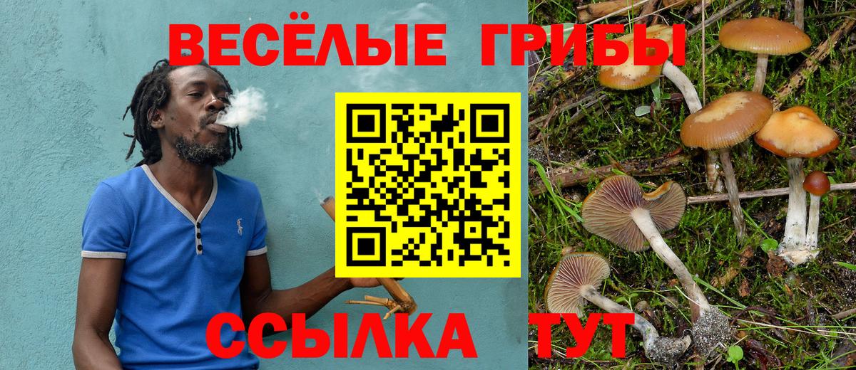 Бирск  Псилоцибиновые грибы Psilocybe  Псилоцибиновые грибы мухоморы  Вход с VPN 