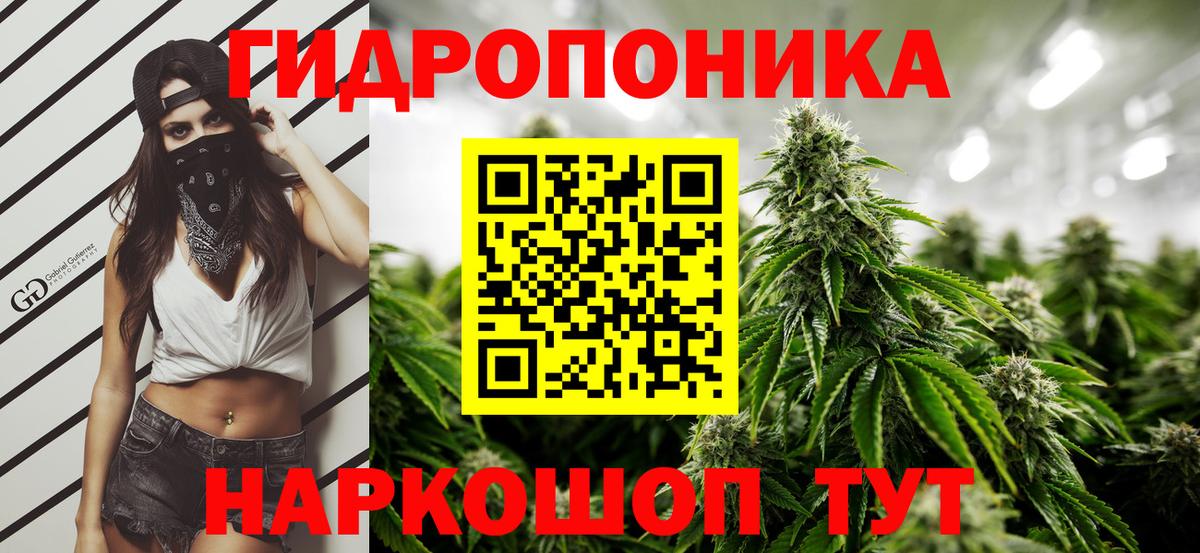 Каннабис OG Kush  Вход с VPN  Каннабис планчик  Бирск  Марихуана MAZAR 